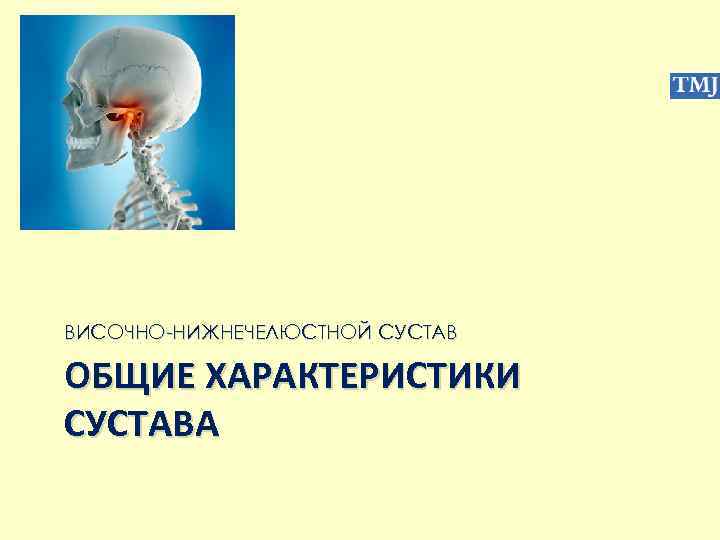 ВИСОЧНО-НИЖНЕЧЕЛЮСТНОЙ СУСТАВ ОБЩИЕ ХАРАКТЕРИСТИКИ СУСТАВА 