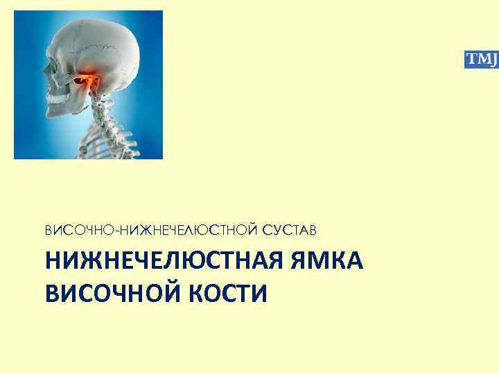 ВИСОЧНО-НИЖНЕЧЕЛЮСТНОЙ СУСТАВ НИЖНЕЧЕЛЮСТНАЯ ЯМКА ВИСОЧНОЙ КОСТИ 