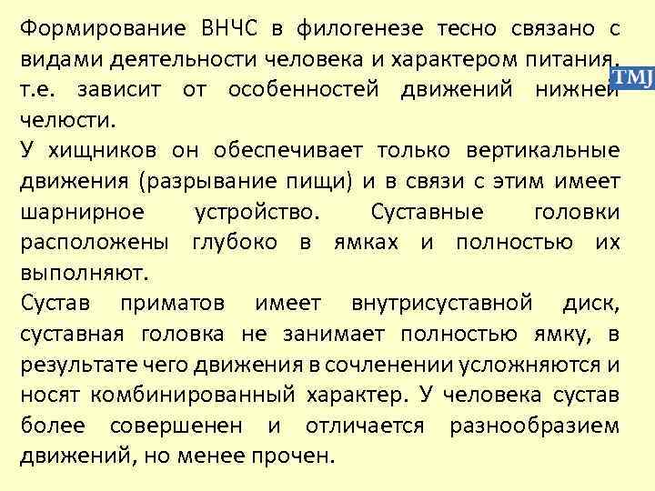 Формирование ВНЧС в филогенезе тесно связано с видами деятельности человека и характером питания, т.