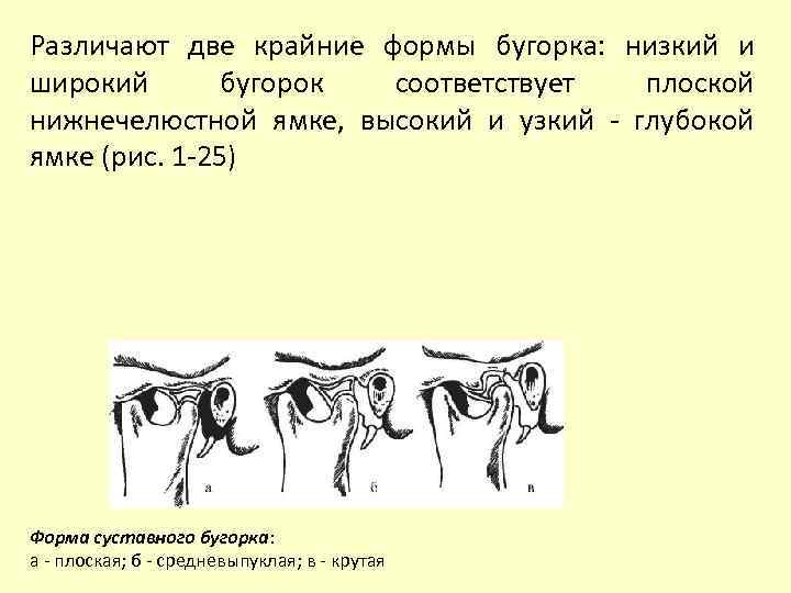 Различают две крайние формы бугорка: низкий и широкий бугорок соответствует плоской нижнечелюстной ямке, высокий