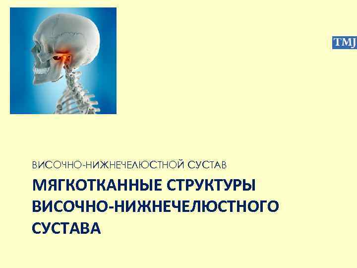 ВИСОЧНО-НИЖНЕЧЕЛЮСТНОЙ СУСТАВ МЯГКОТКАННЫЕ СТРУКТУРЫ ВИСОЧНО-НИЖНЕЧЕЛЮСТНОГО СУСТАВА 