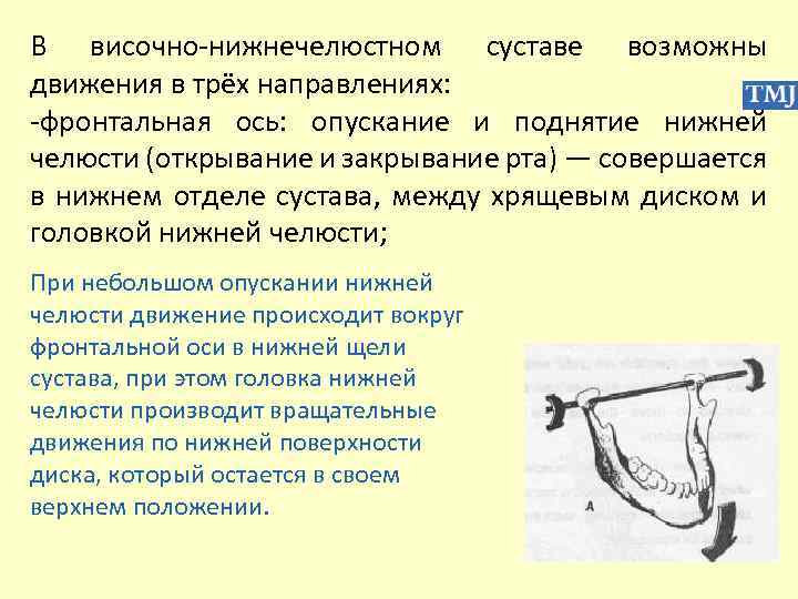 В височно-нижнечелюстном суставе возможны движения в трёх направлениях: -фронтальная ось: опускание и поднятие нижней