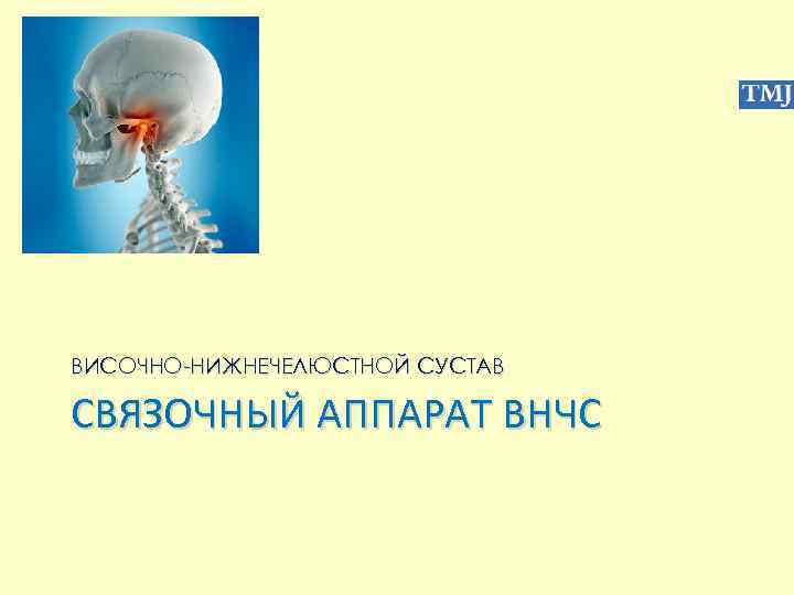 ВИСОЧНО-НИЖНЕЧЕЛЮСТНОЙ СУСТАВ СВЯЗОЧНЫЙ АППАРАТ ВНЧС 
