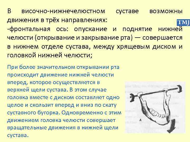 В височно-нижнечелюстном суставе возможны движения в трёх направлениях: -фронтальная ось: опускание и поднятие нижней