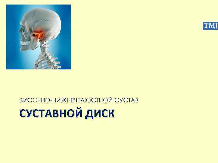 ВИСОЧНО-НИЖНЕЧЕЛЮСТНОЙ СУСТАВНОЙ ДИСК 