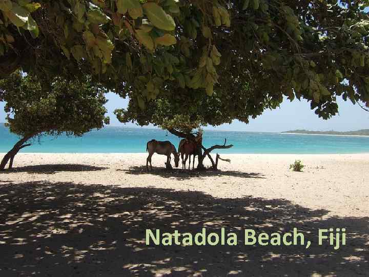 Natadola Beach, Fiji 