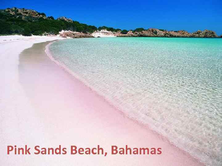 Pink Sands Beach, Bahamas 