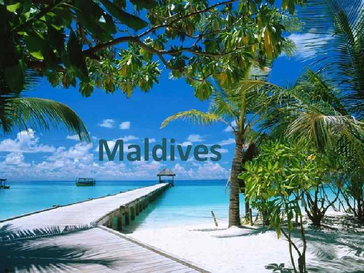 Maldives 