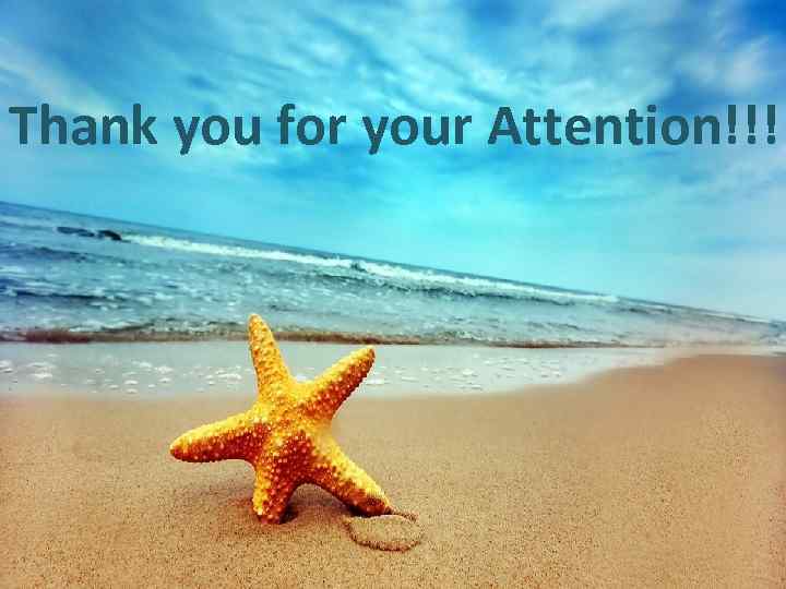 Thank you for your Attention!!! 