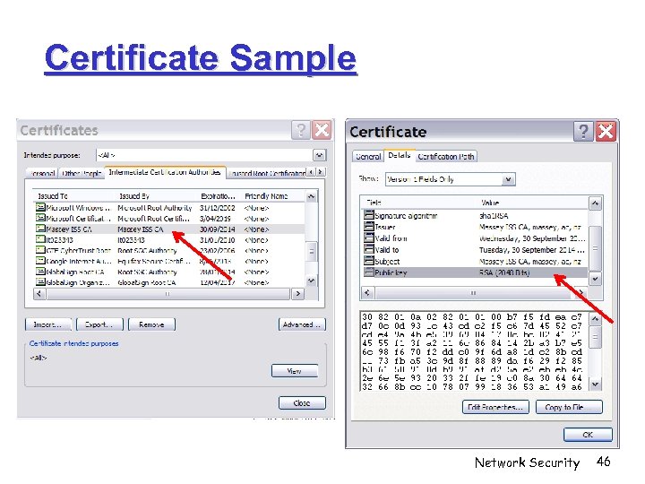 Certificate Sample Network Security 46 