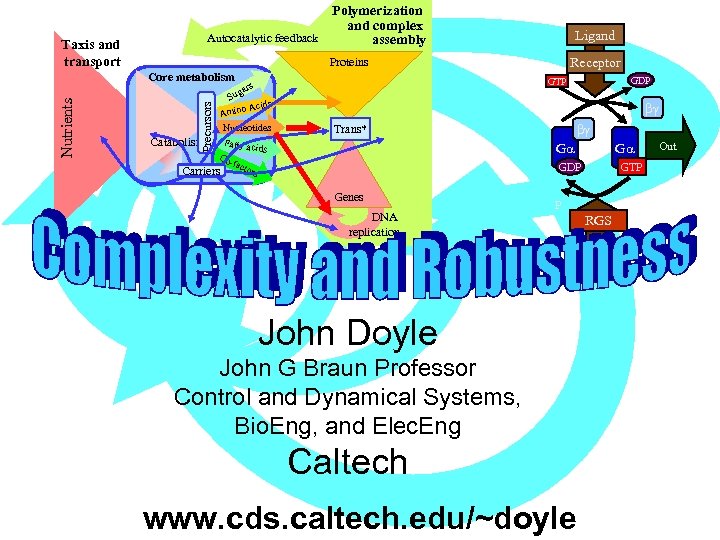 Polymerization and complex Autocatalytic feedback assembly Taxis and transport In Receptor Proteins Core metabolism