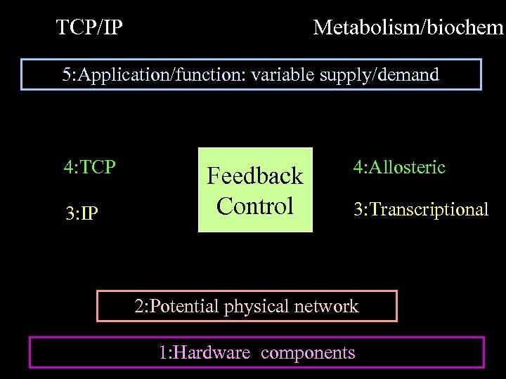 TCP/IP Metabolism/biochem 5: Application/function: variable supply/demand 4: TCP 3: IP Feedback Control 4: Allosteric