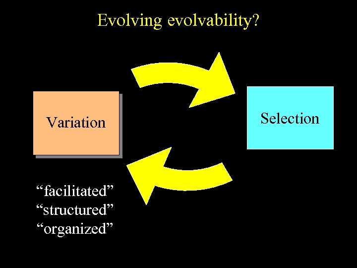 Evolving evolvability? Variation “facilitated” “structured” “organized” Selection 