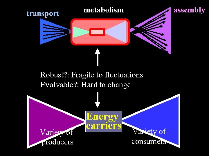 transport metabolism assembly Robust? : Fragile to fluctuations Evolvable? : Hard to change Variety