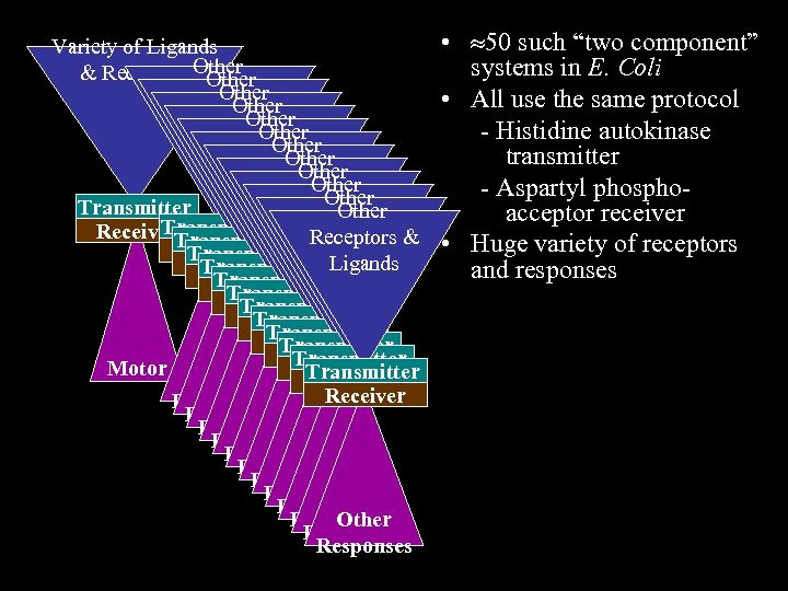 Variety of Ligands & Receptors Other Receptors & Other Ligands Receptors & Other Ligands