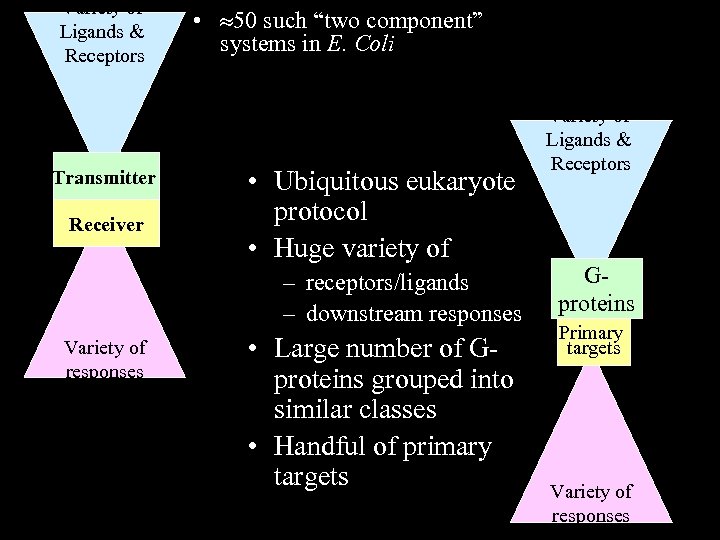 Variety of Ligands & Receptors Transmitter Receiver • 50 such “two component” systems in
