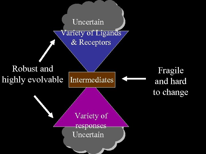 Uncertain Variety of Ligands & Receptors Robust and highly evolvable Intermediates Variety of responses