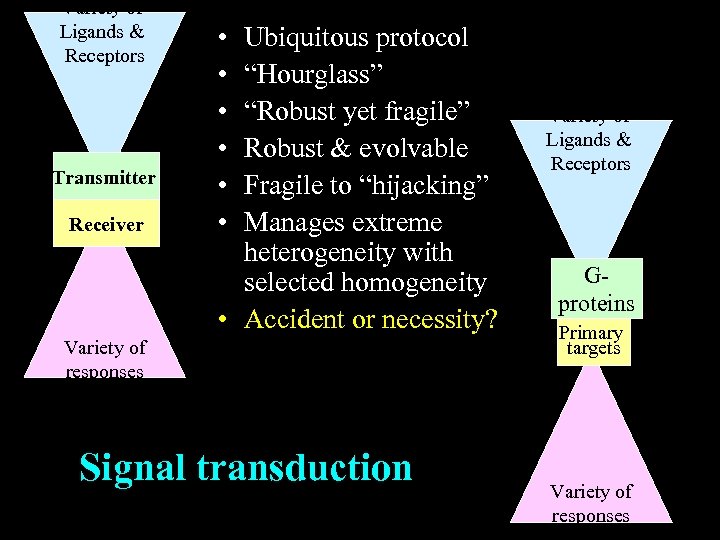 Variety of Ligands & Receptors Transmitter Receiver • • • Ubiquitous protocol “Hourglass” “Robust