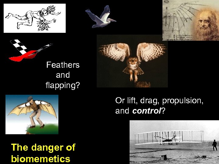 Feathers and flapping? Or lift, drag, propulsion, and control? The danger of biomemetics 