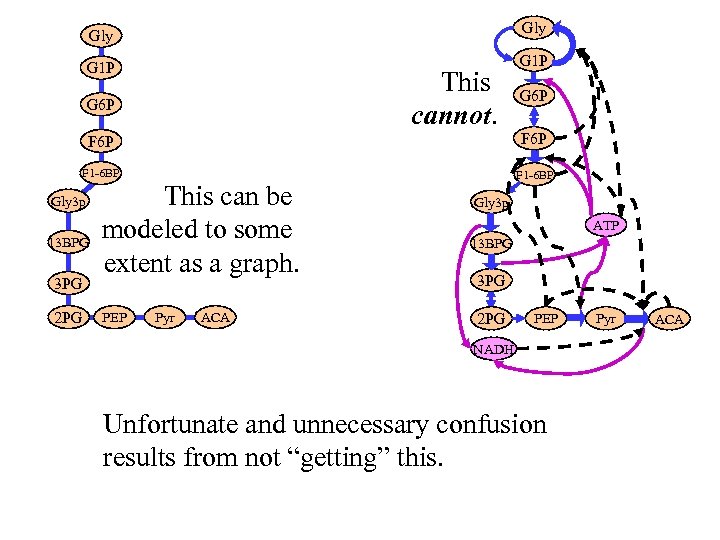 Gly G 1 P This cannot. G 6 P F 1 -6 BP Gly