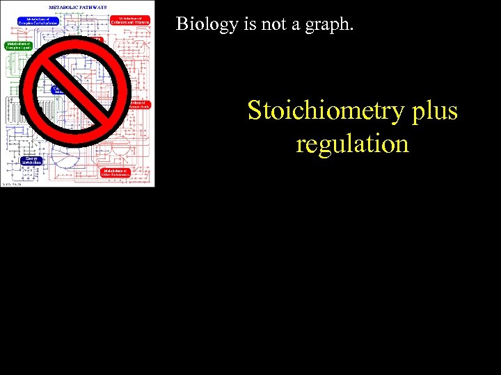 Biology is not a graph. Stoichiometry plus regulation 