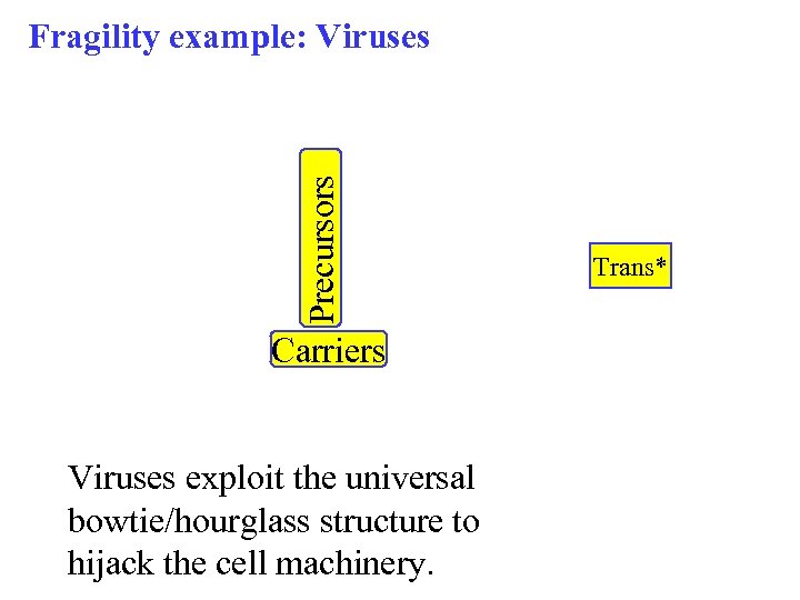 Precursors Fragility example: Viruses Carriers Viruses exploit the universal bowtie/hourglass structure to hijack the