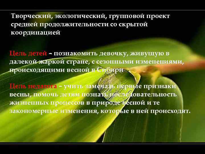 Творческий, экологический, групповой проект средней продолжительности со скрытой координацией Цель детей – познакомить девочку,