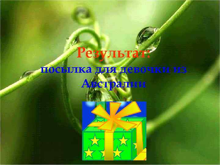 Результат: посылка для девочки из Австралии 