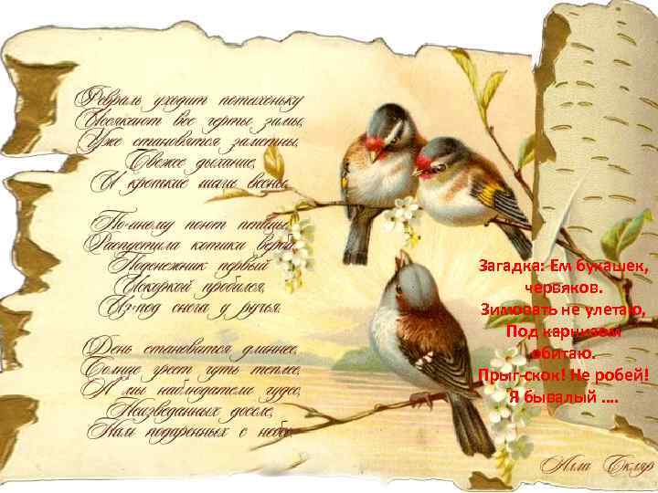 Загадка: Ем букашек, червяков. Зимовать не улетаю, Под карнизом обитаю. Прыг-скок! Не робей! Я