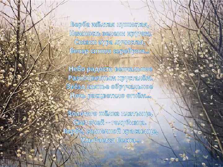 Верба жёлтая пушистая, Нежность зелени кругом. Сказки аура лучистая, Вечер синим серебром… Небо радости