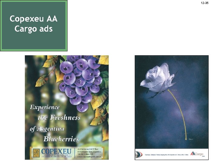 12 -35 Copexeu AA Cargo ads 