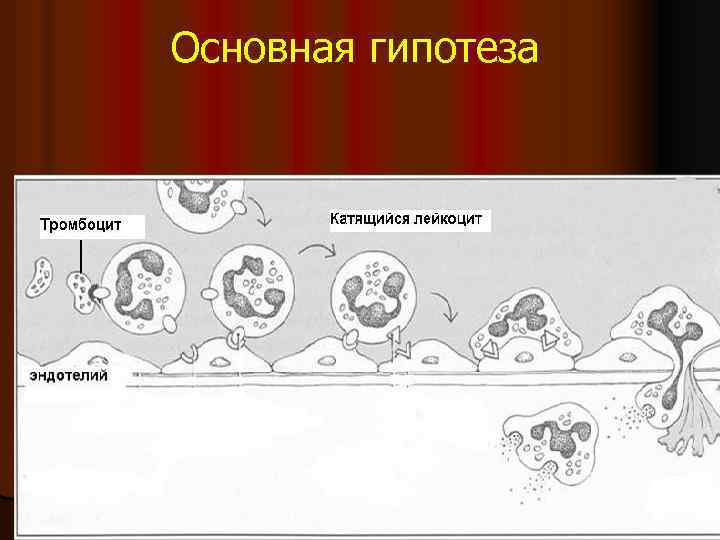 Основная гипотеза 