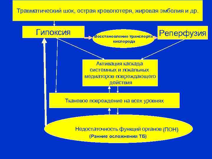 Травматический шок, острая кровопотеря, жировая эмболия и др. Гипоксия Восстановление транспорта кислорода Реперфузия Активация