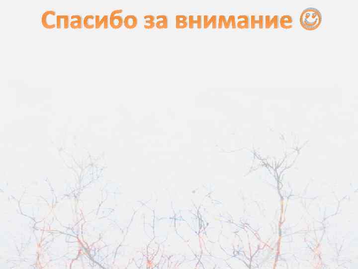 Спасибо за внимание 