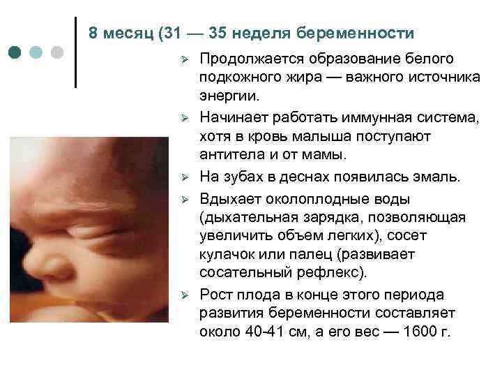 Шла 32 неделя беременности. Вес плода в 35 недель беременности. 35 Неделя развития плода. Ребёнок на 35 неделе беременности. 33 34 Недели беременности развитие плода.