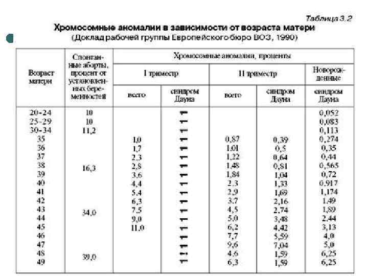 Периоды внутриутробного развития фото