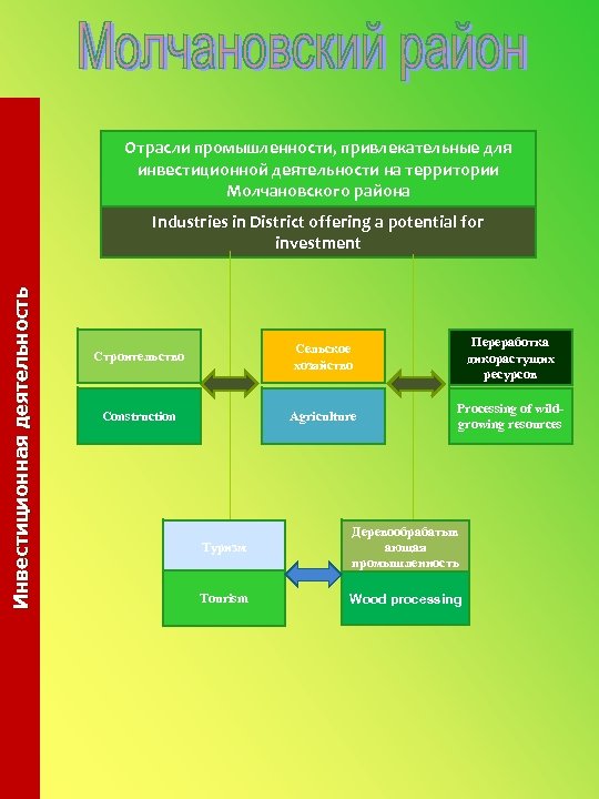 Отрасли промышленности, привлекательные для инвестиционной деятельности на территории Молчановского района Инвестиционная деятельность Industries in