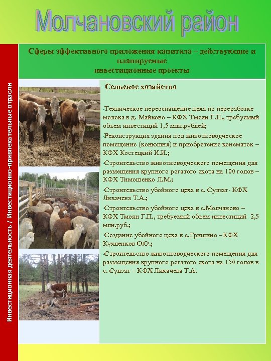 Инвестиционная деятельность / Инвестиционно-привлекательные отрасли Сферы эффективного приложения капитала – действующие и планируемые инвестиционные