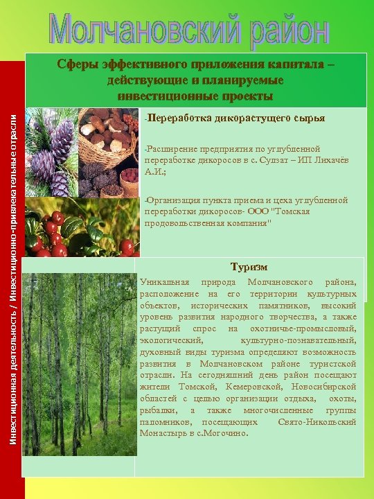 Инвестиционная деятельность / Инвестиционно-привлекательные отрасли Сферы эффективного приложения капитала – действующие и планируемые инвестиционные