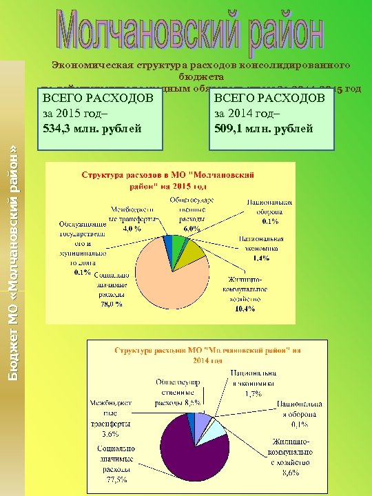 Экономическая структура расходов консолидированного бюджета по действующим расходным обязательствам 3 а 2014 -2015 год