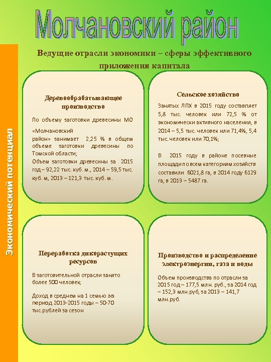 Ведущие отрасли экономики – сферы эффективного приложения капитала Деревообрабатывающее производство Экономический потенциал По объему
