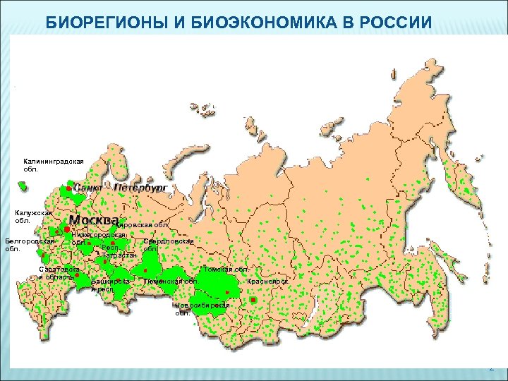 БИОРЕГИОНЫ И БИОЭКОНОМИКА В РОССИИ Калининградская обл. Калужская обл. Белгородская обл. Кировская обл. Нижегородская