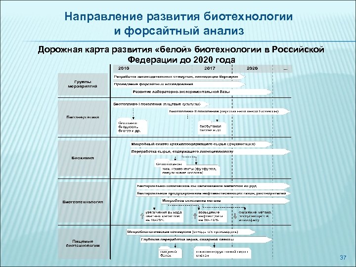 Направление развития биотехнологии и форсайтный анализ Дорожная карта развития «белой» биотехнологии в Российской Федерации