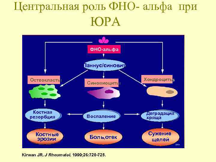 Фно фактор некроза опухоли