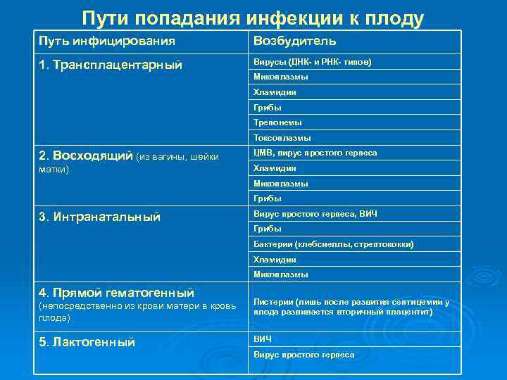 Пути попадания инфекции к плоду Путь инфицирования Возбудитель 1. Трансплацентарный Вирусы (ДНК- и РНК-