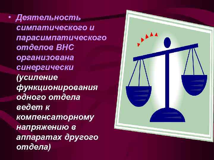  • Деятельность симпатического и парасимпатического отделов ВНС организована синергически (усиление функционирования одного отдела
