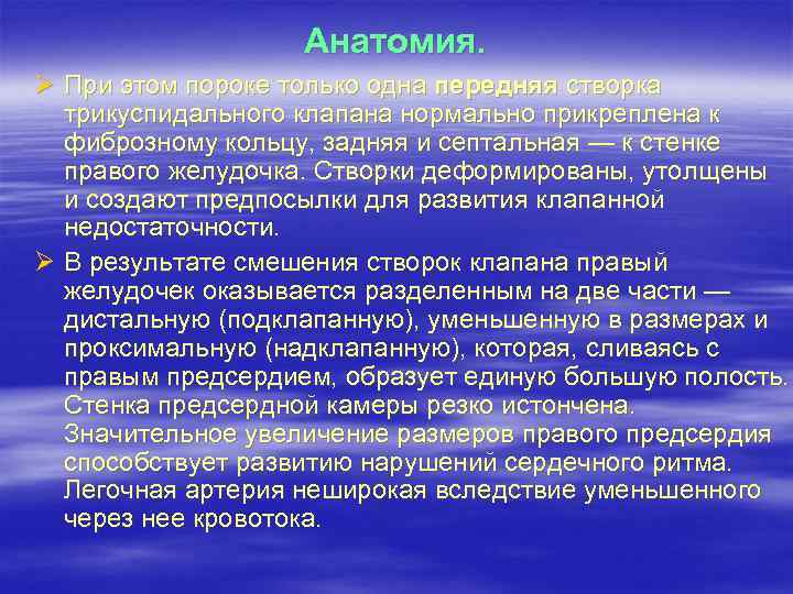 Анатомия. Ø При этом пороке только одна передняя створка трикуспидального клапана нормально прикреплена к