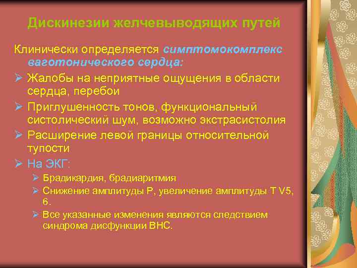 Дискинезии желчевыводящих путей Клинически определяется симптомокомплекс ваготонического сердца: Ø Жалобы на неприятные ощущения в