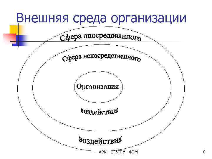 Внешняя среда организации Организация АВК СПб. ГПУ ФЭМ 8 