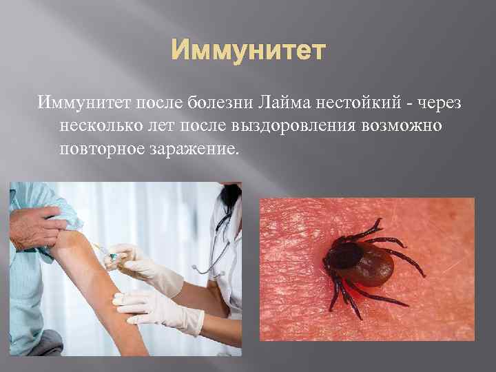 Иммунитет после болезни Лайма нестойкий - через несколько лет после выздоровления возможно повторное заражение.